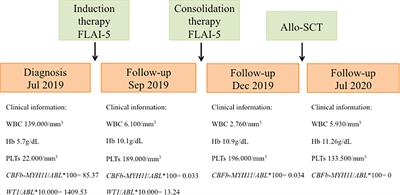 Case Report: A Novel Activating FLT3 Mutation in Acute Myeloid Leukemia
